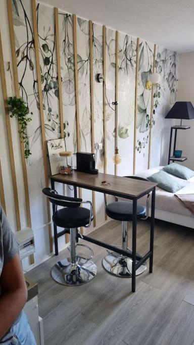Hsh France Location Disney Land Paris - Suite Nicolas - Appartement De Charme ブシー・サン ・ジョルジュ エクステリア 写真