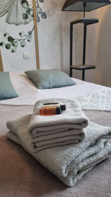Hsh France Location Disney Land Paris - Suite Nicolas - Appartement De Charme ブシー・サン ・ジョルジュ エクステリア 写真